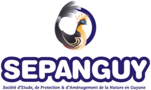 Logo de Sepanguy