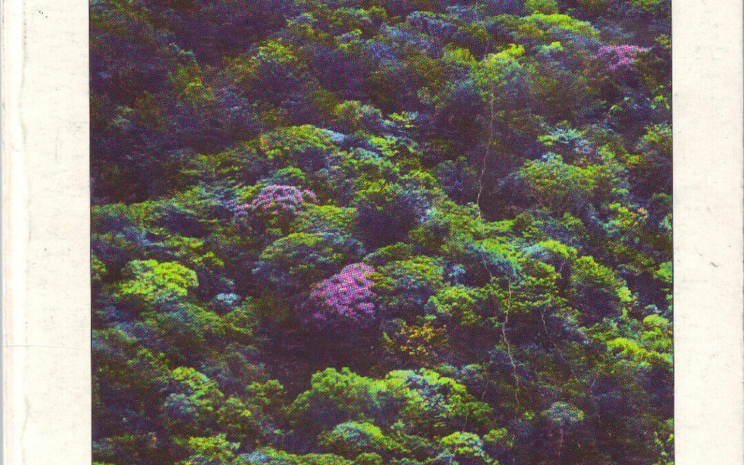 Forêt guyanaise – Gestion de l’écosystème forestier et aménagement de l’espace régional
